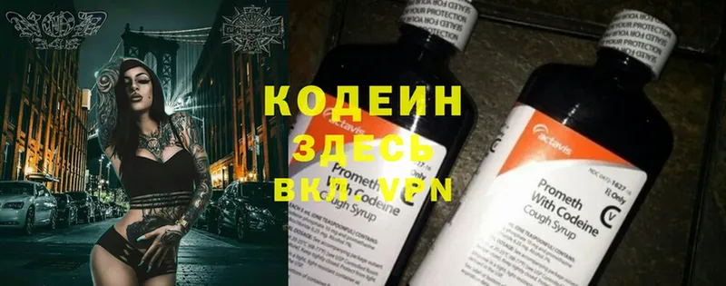 Codein Purple Drank  закладка  Бакал 